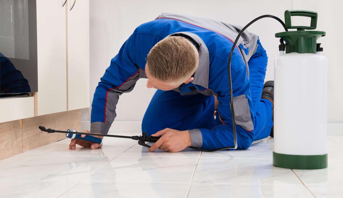 مكافحة البراغيث