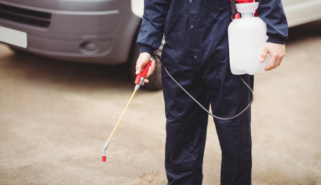 مكافحة الذباب