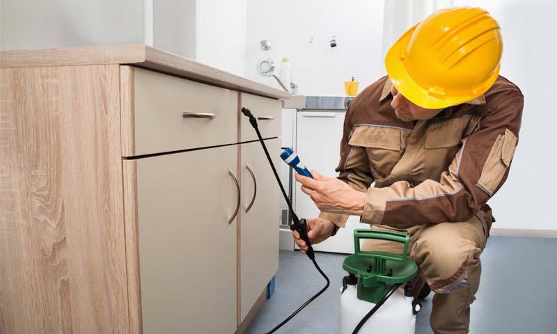 ابادة حشرات