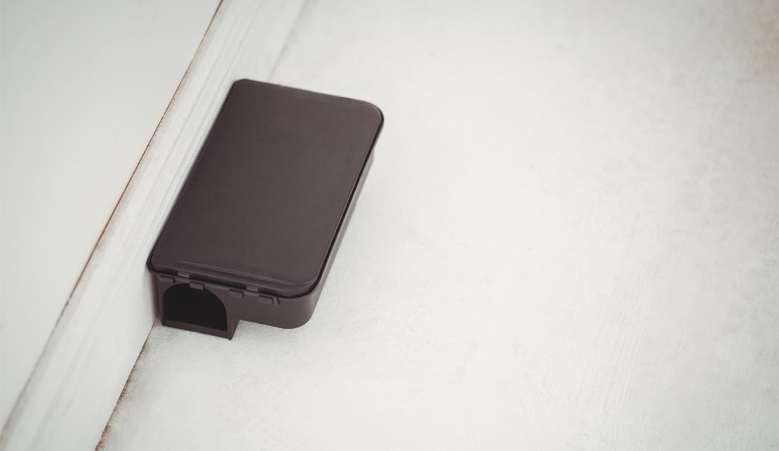 مكافحة الفئران